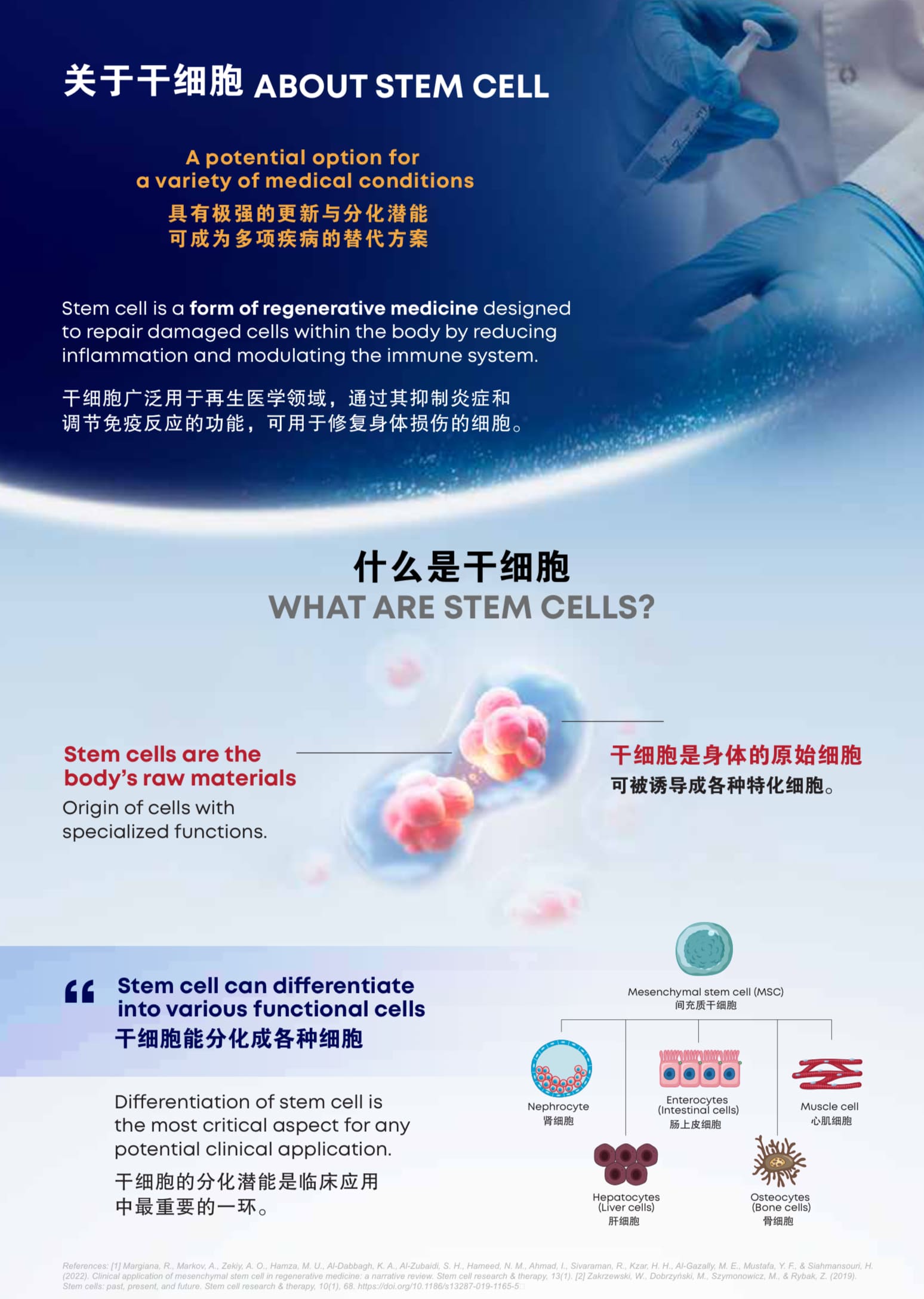 Mesenchymal Stem Cell 100mil Infusion Therapy